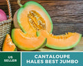 Sliced cantaloupe with orange flesh and green rind, with seeds visible