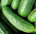 Fresh green cucumbers, close-up of sliced and whole cucumbers