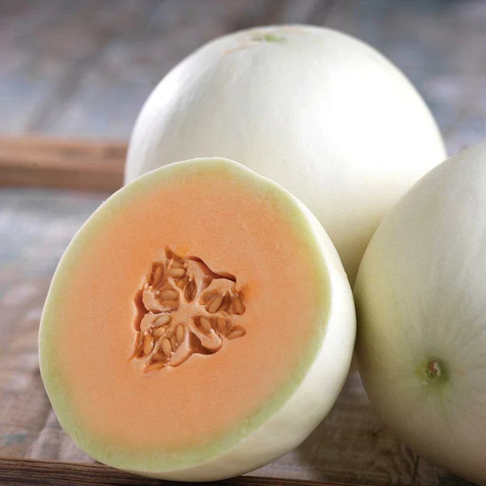 Orange honeydew melon fruit with open half showing light orange flesh and seeds