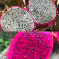 Dragon fruit seeds in red pitaya fruit flesh, with visible black seed specks