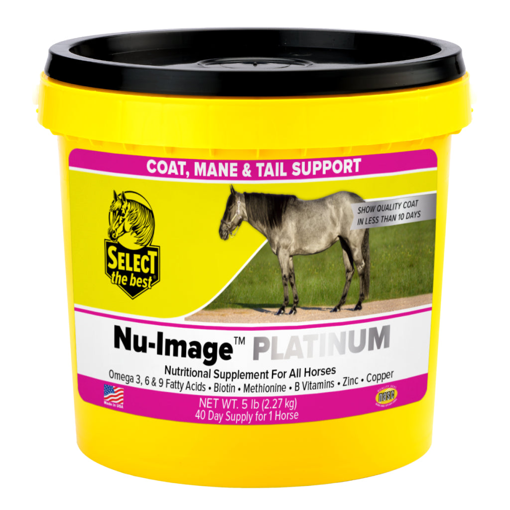 Yellow horse coat, mane & tail support supplement tub with black screw lid.