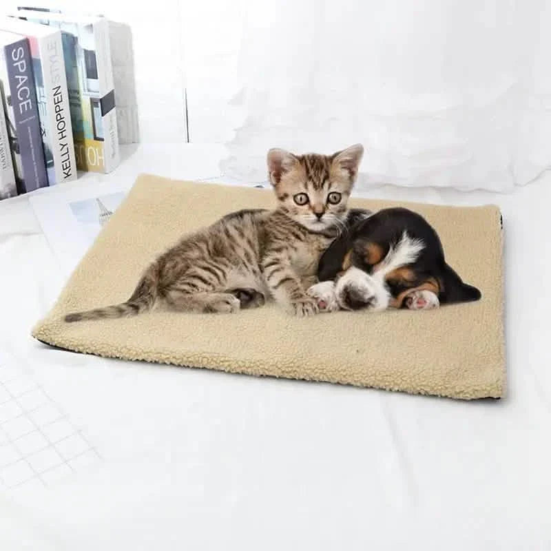 Khaki self-heating pet mat with resting cat and puppy