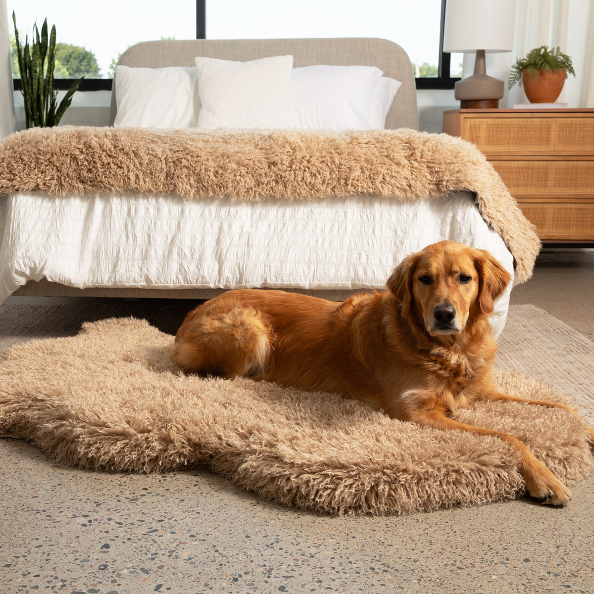 Tan faux fur orthopedic dog bed with raised rim and white quilted base