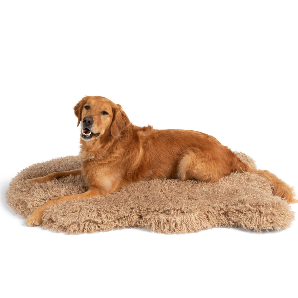 Tan plush faux fur dog bed with curved surface, retriever lying