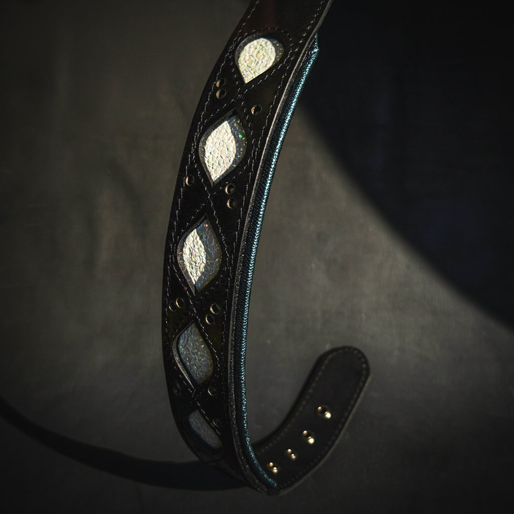 Black dog collar with teal piping and stitched geometric insets