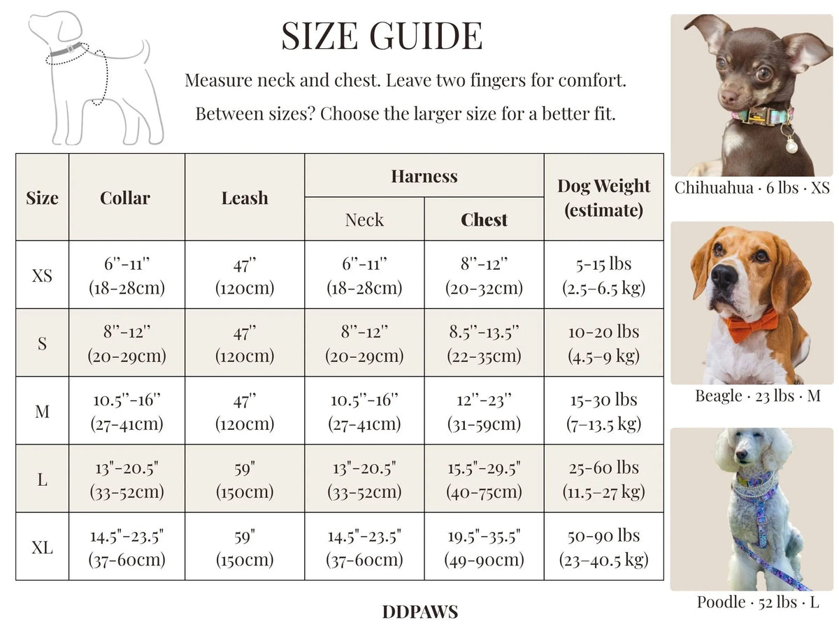 Teal floral dog collar and leash set with size guide chart shown