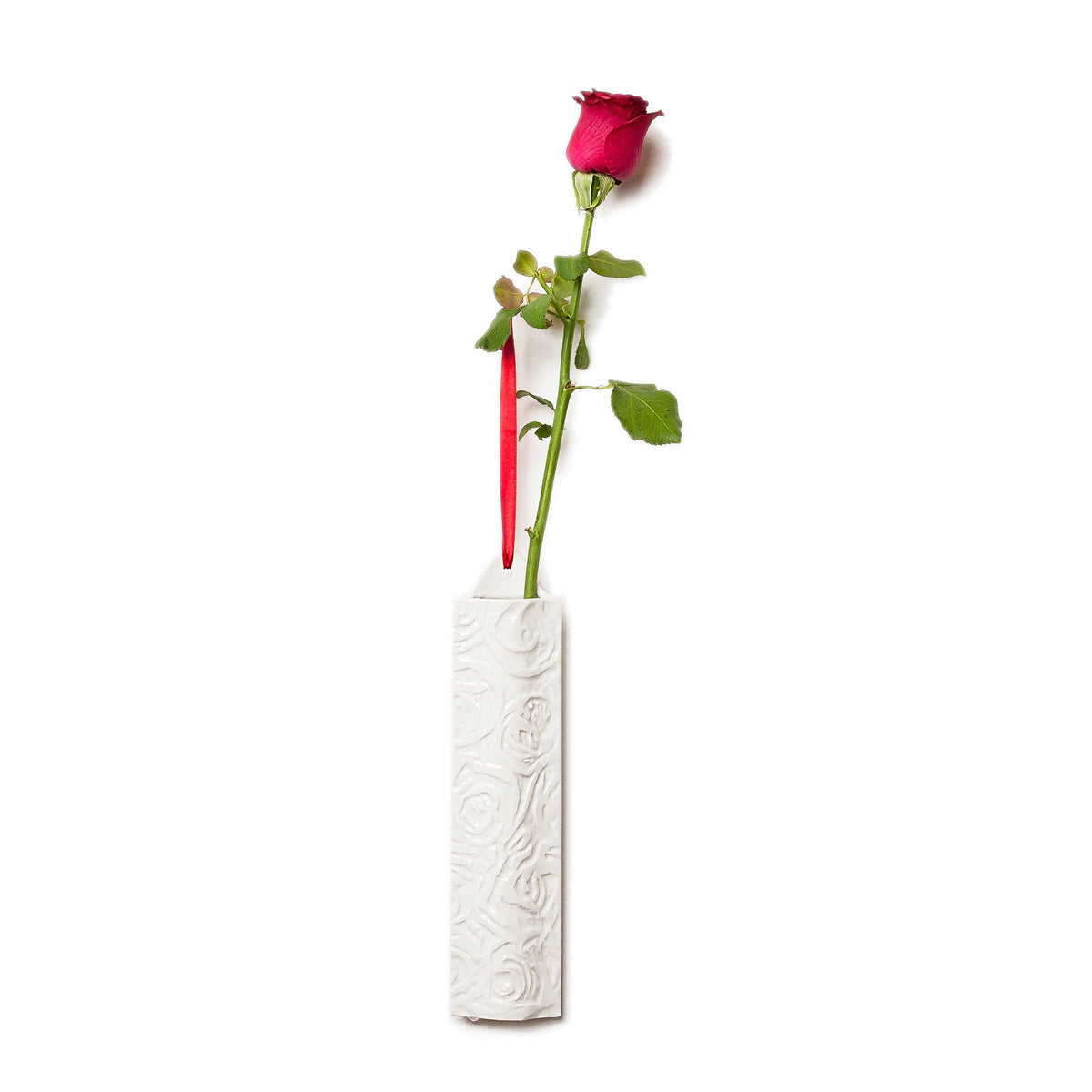 St. Jordi Hanging Wall Vase