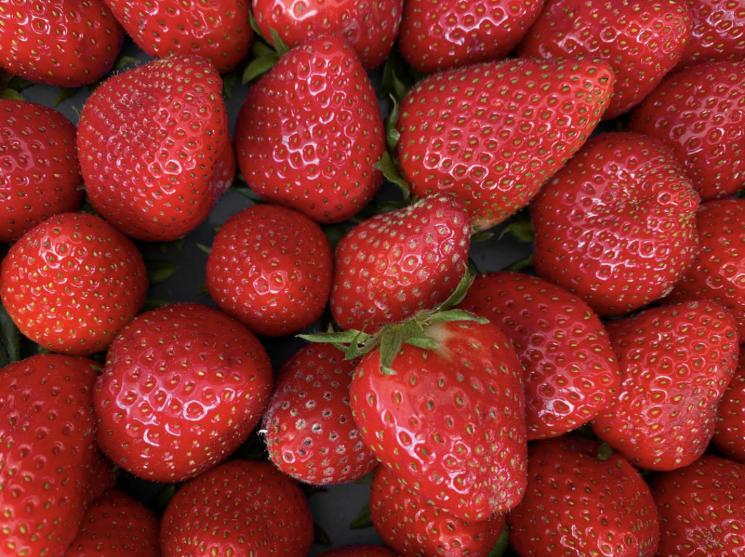 Fresh red strawberries close-up with visible seeds and juice
