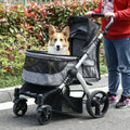 Gray pet stroller with mesh front window; corgi sits inside while handle is held.