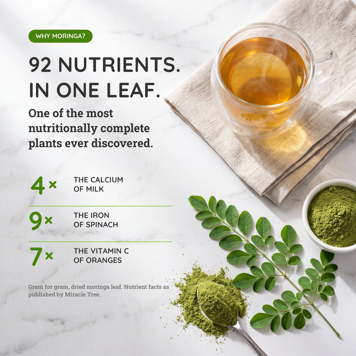 Moringa green tea ingredients with cup and nutrient facts graphic for Miracle Tree blend
