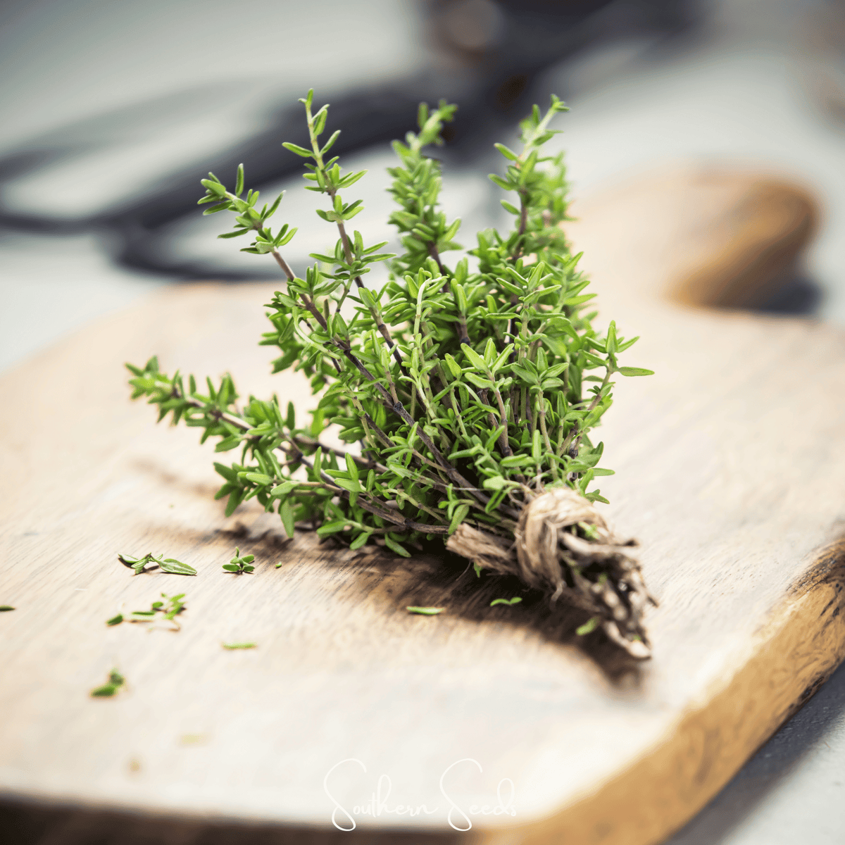 Winter thyme seeds shown as fresh green sprigs on a wooden surface