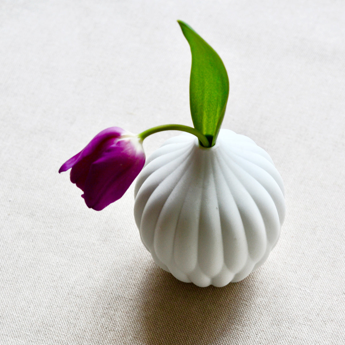 Textured porcelain vase with ribbed white shape holding purple flower and green leaf
