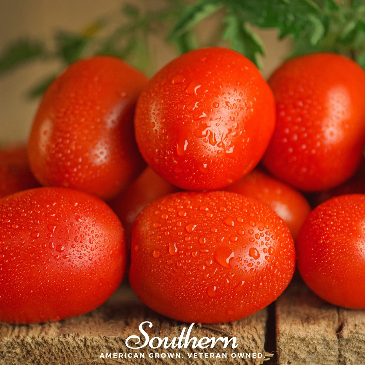Roma tomatoes, red, clustered together on wood