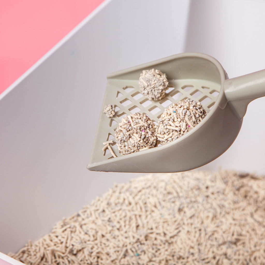 Pale pellet cat litter and clumps in a slotted litter scoop