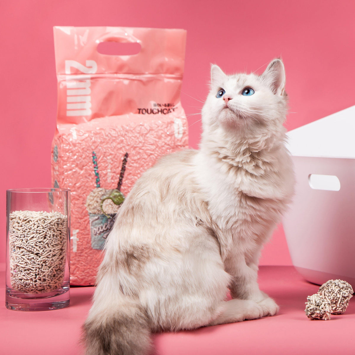Touchcat cat litter bag beside a fluffy white cat and a glass of pellets