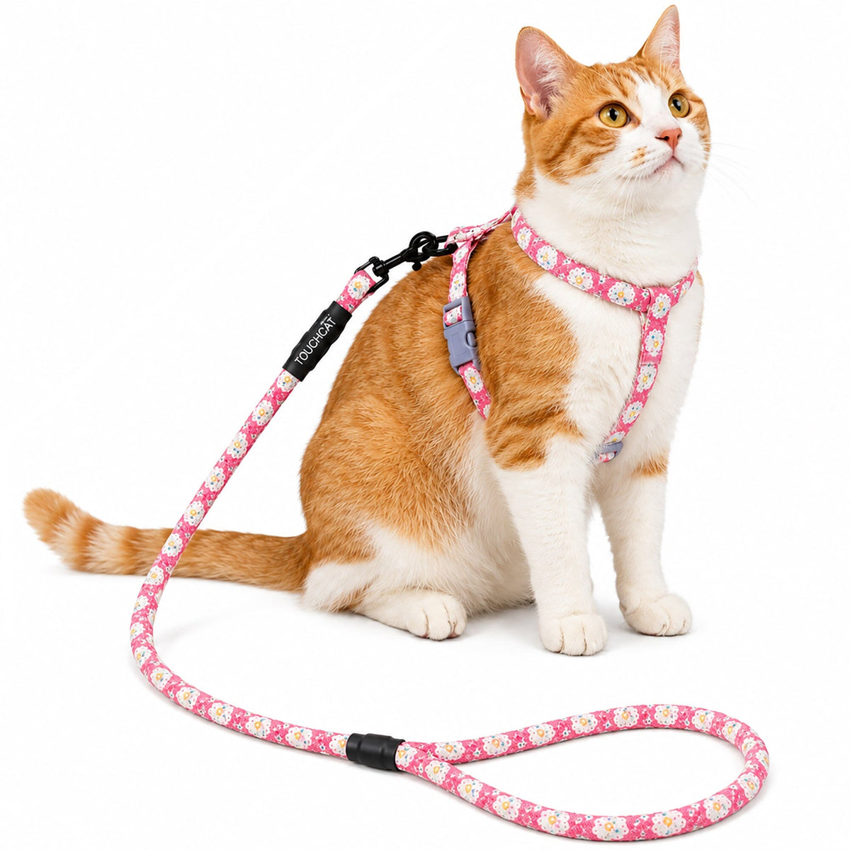 Pink floral cat harness and leash worn by a cat, with matching leash attached.