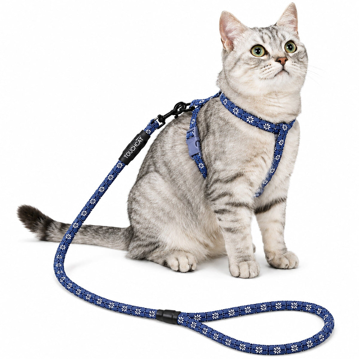 Touchcat Radi-Claw harness and leash worn by a cat, with blue floral webbing