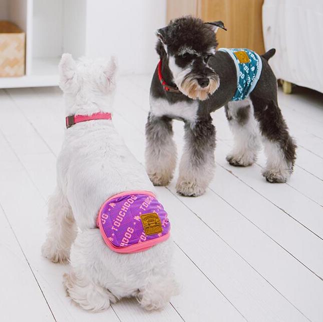 Touchdog dog compression sleeve worn over a white dog's hindquarters, with purple fabric and pink trim