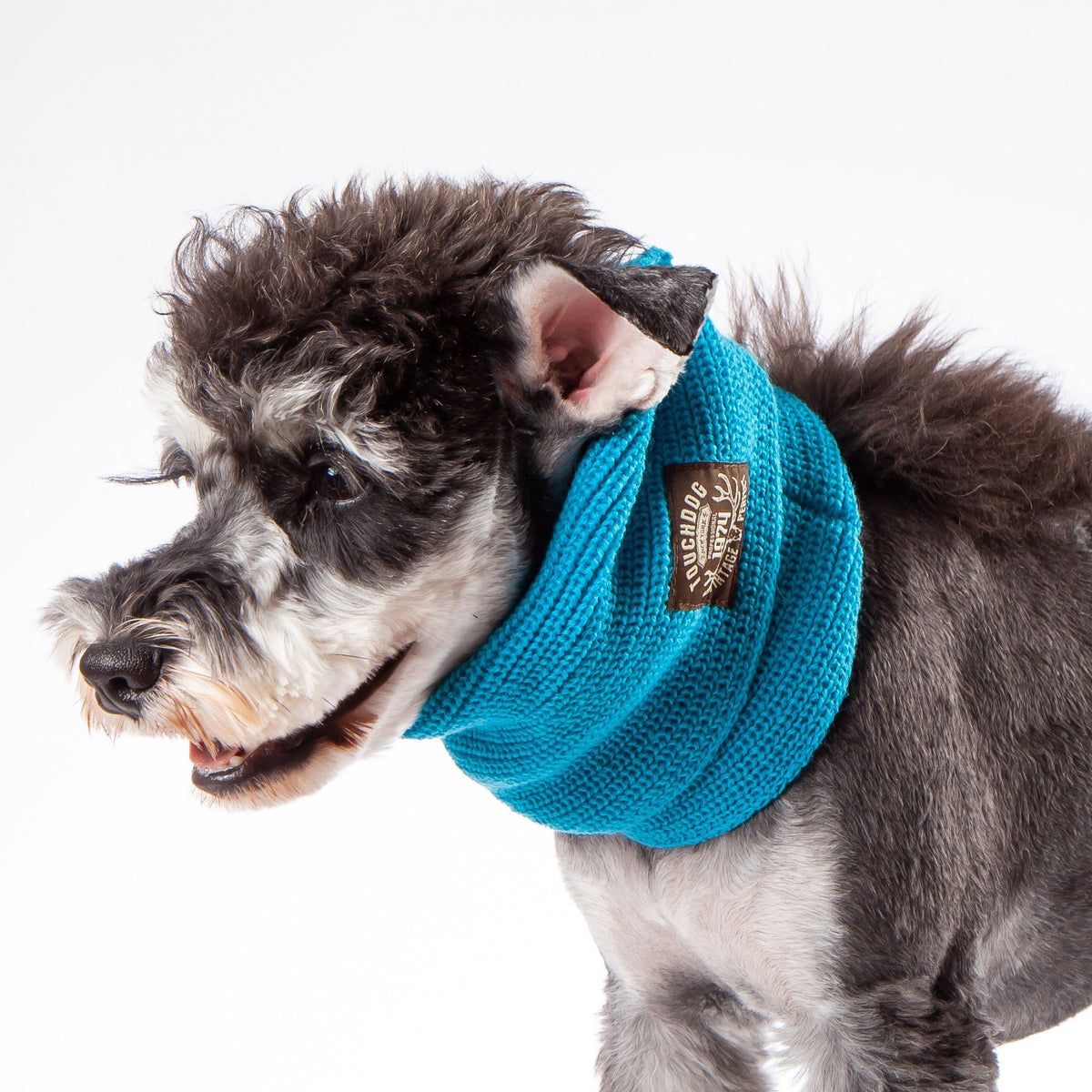 Touchdog blue knitted scarf worn around a dog's neck