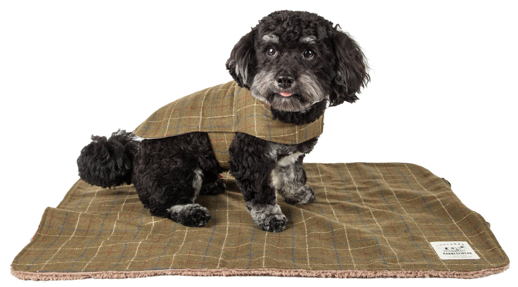 Touchdog olive plaid jacket and matching reversible mat shown with a dog