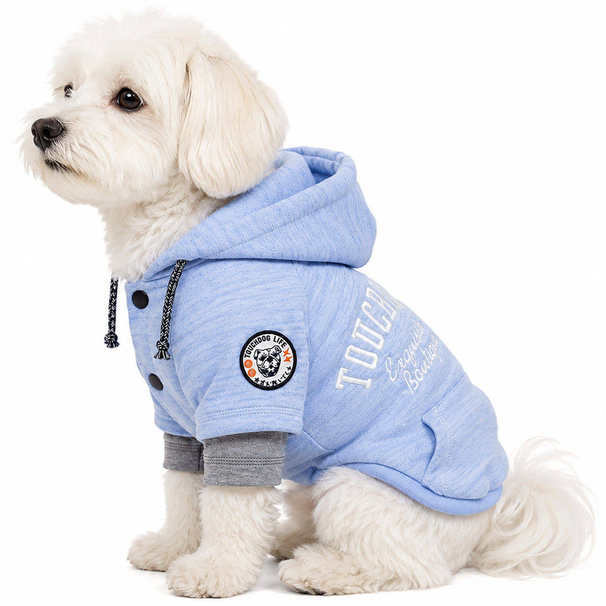 Light blue Touchdog hooded dog sweater with gray cuffs and logo patch, worn by a seated dog