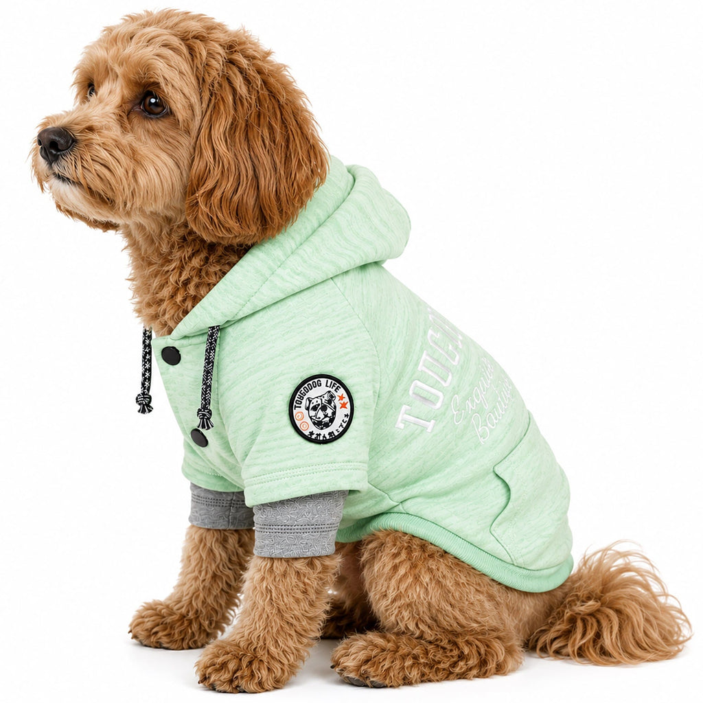 Mint green hooded dog sweater on a seated dog, with snap buttons and gray cuffs.