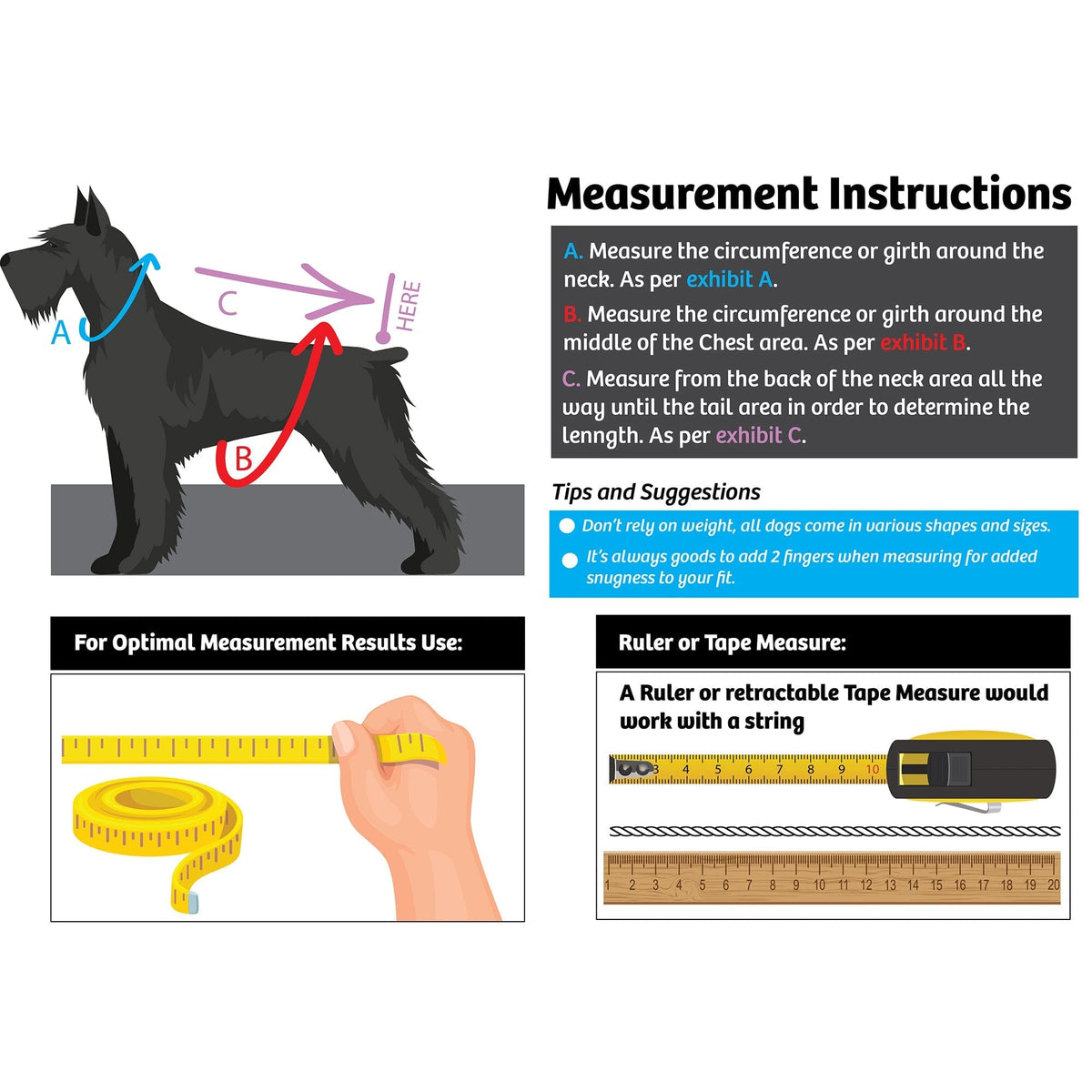 Dog measurement guide showing how to measure neck, chest, and body length