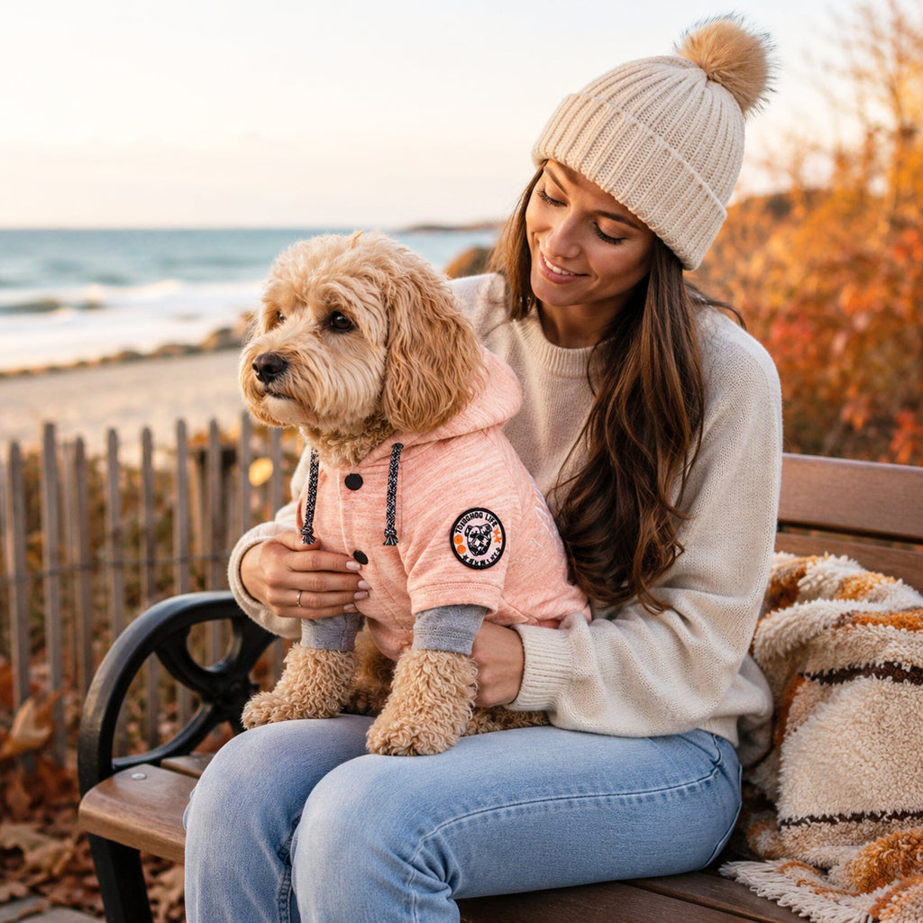 Pink hooded dog sweater with snap buttons and gray cuffs, worn by a small dog.