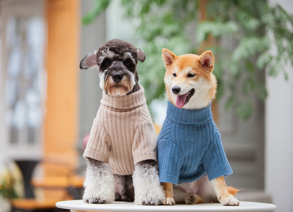 Touchdog dog sweaters and dresses modeled in beige and blue colorways
