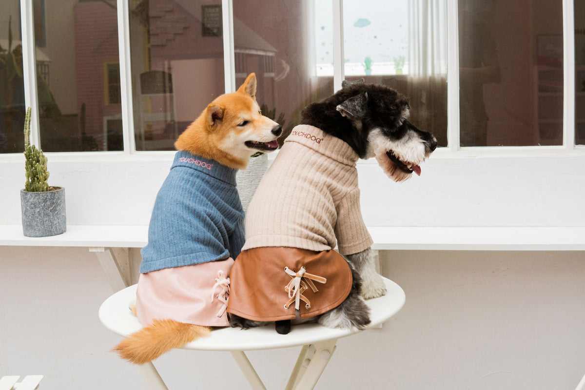 Dogs wearing Touchdog sweater dresses, showing blue and beige tops with lace-up skirts