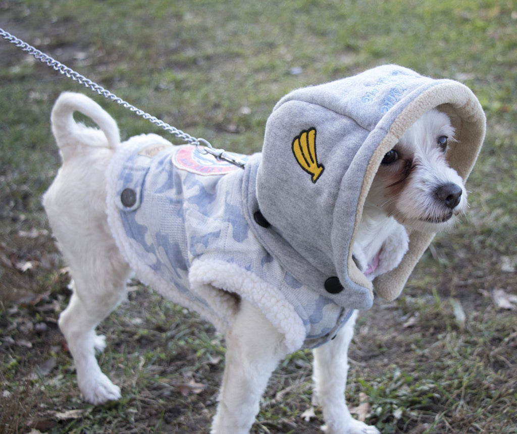 Blue camouflage hooded dog sweater coat shown on a small dog