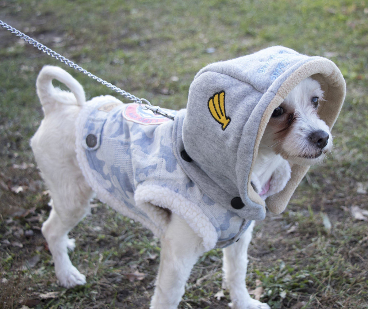 Blue camouflage hooded dog sweater coat shown on a small dog