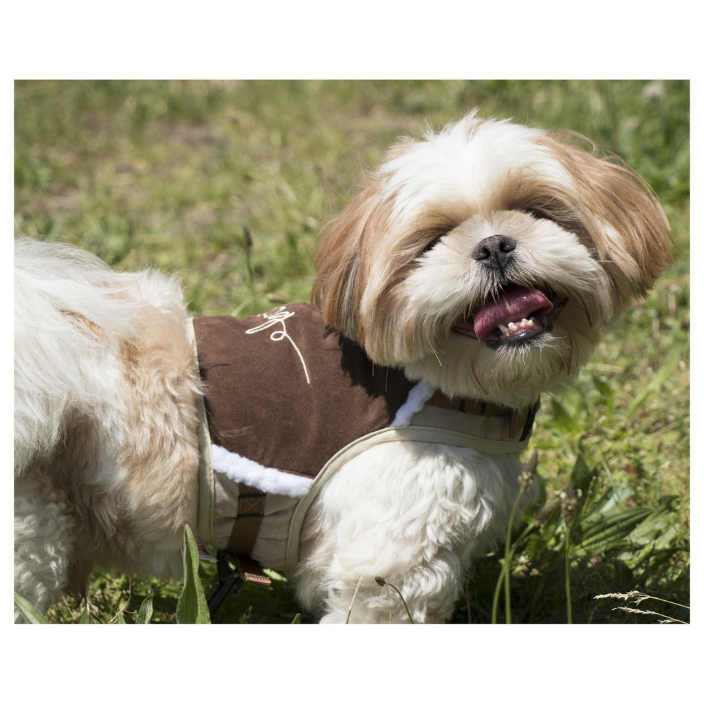 Touchdog brown dog harness worn by a small dog
