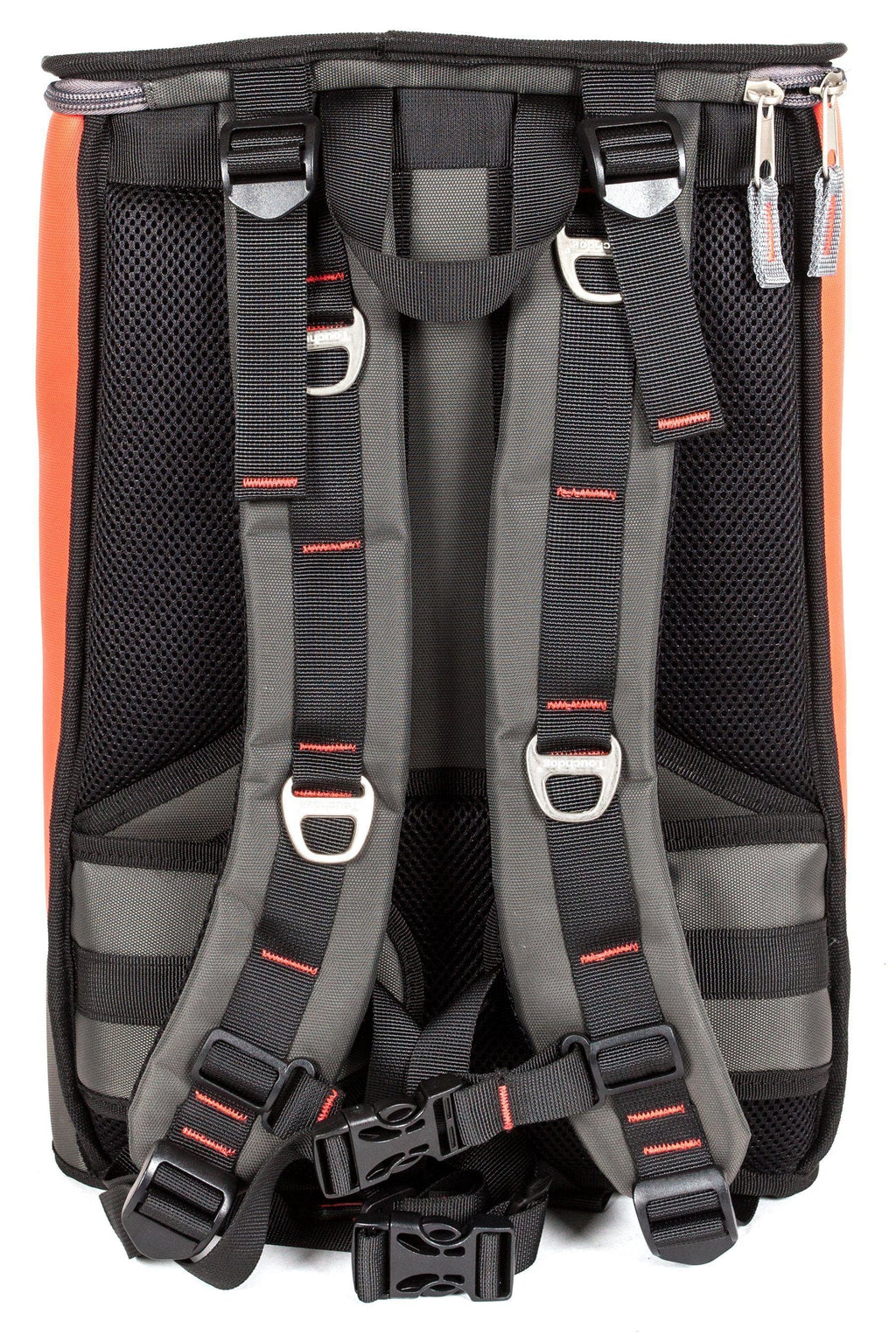Touchdog carrier backpack rear view with padded straps and orange side panels