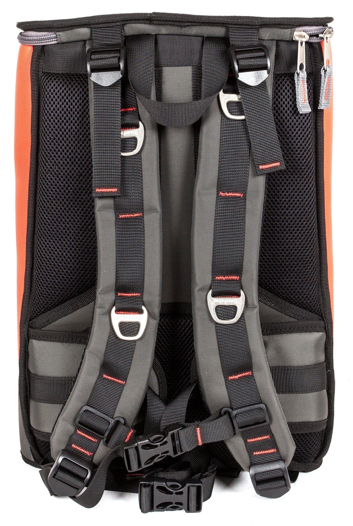 Touchdog carrier backpack rear view with padded straps and orange side panels