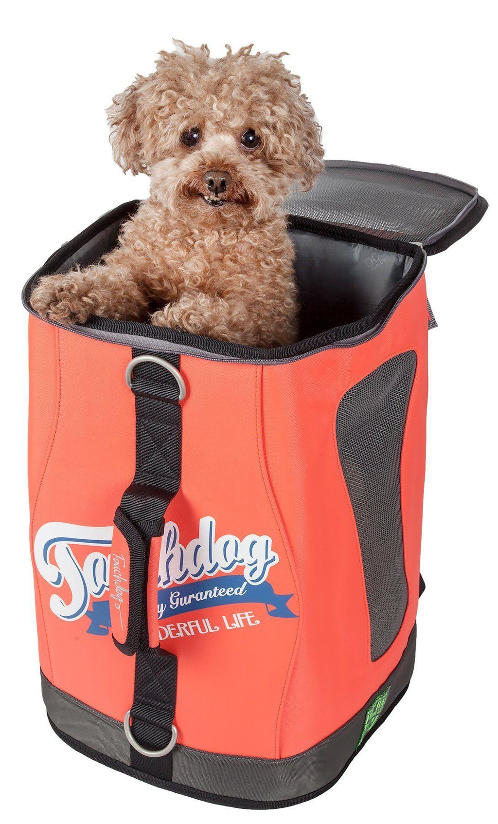 Touchdog dog carrier backpack in orange with mesh side panel and top flap, holding a small dog