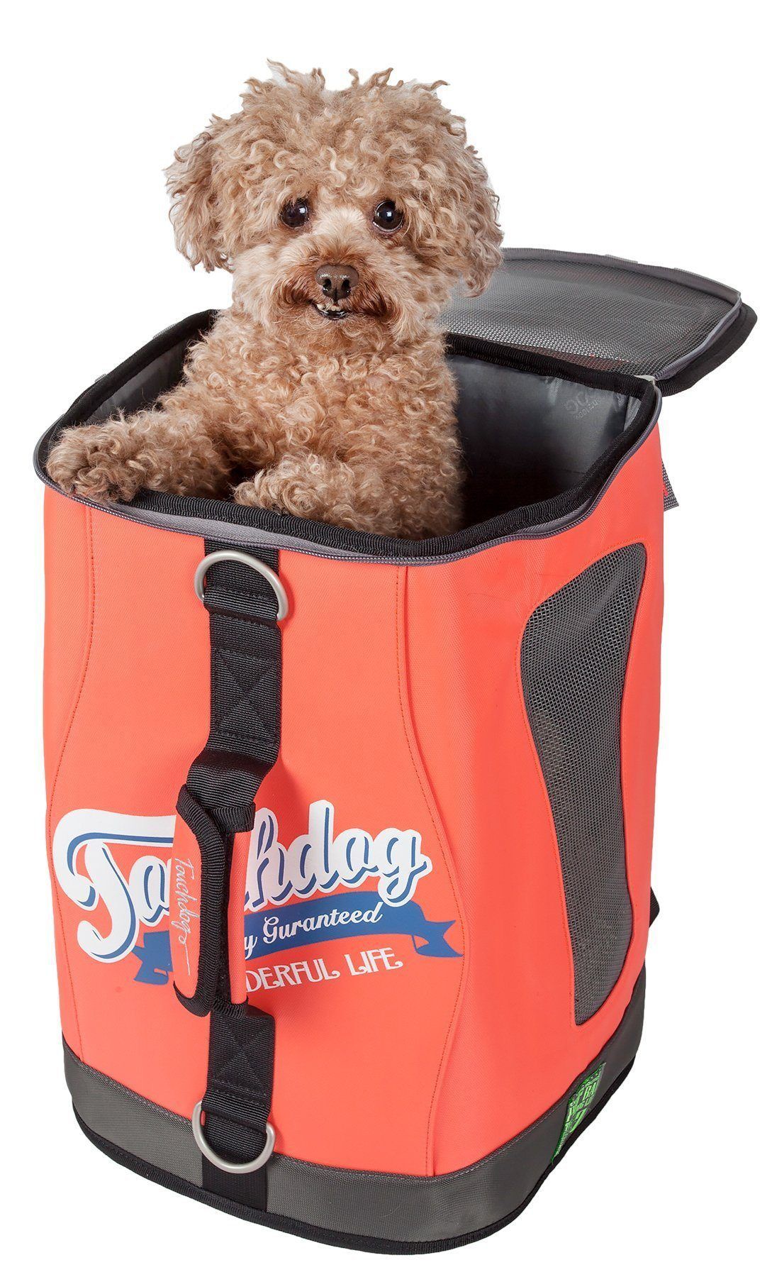 Touchdog dog carrier backpack in orange with mesh side panel and top flap, holding a small dog