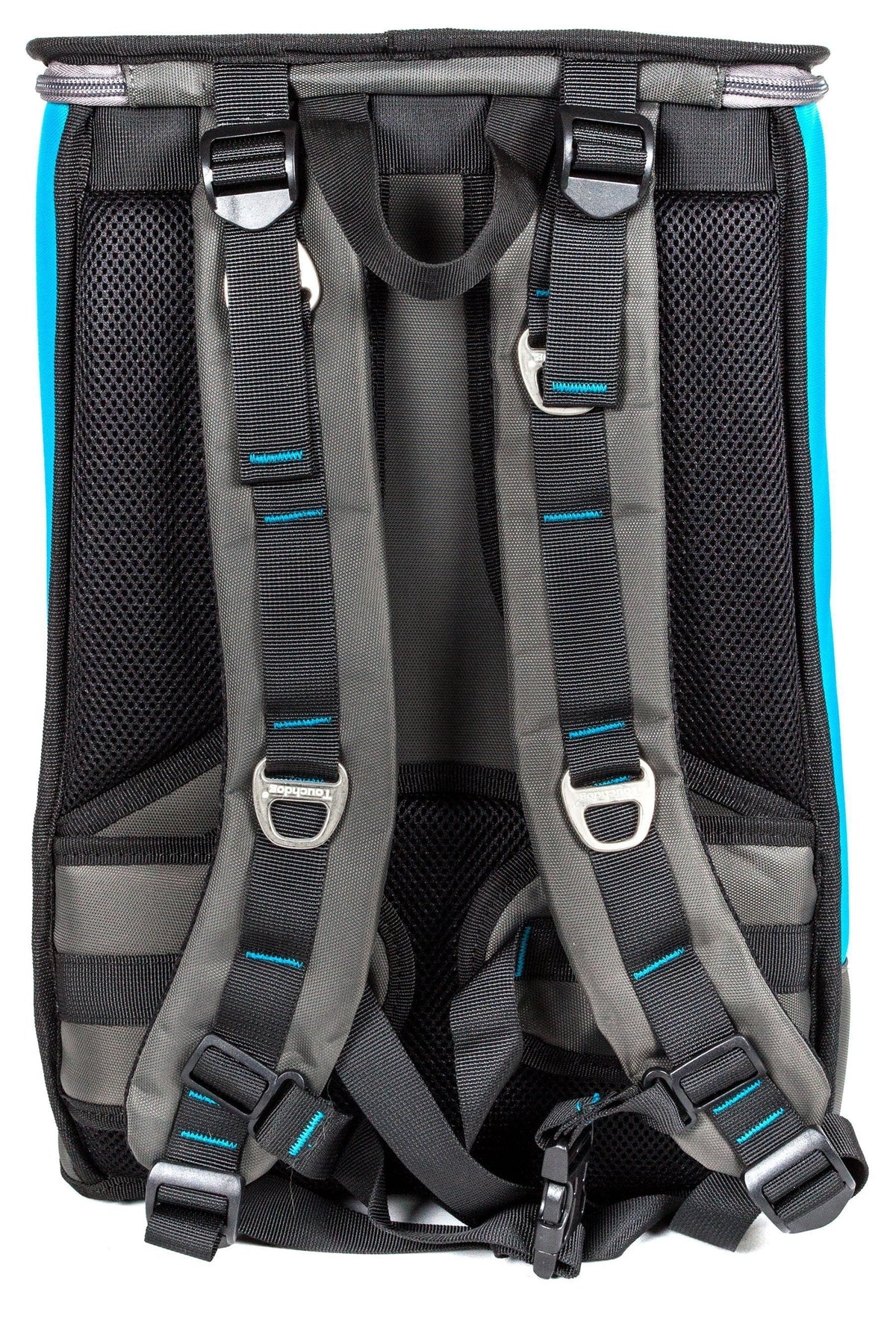 Touchdog carrier backpack rear view with padded straps and turquoise blue side panels