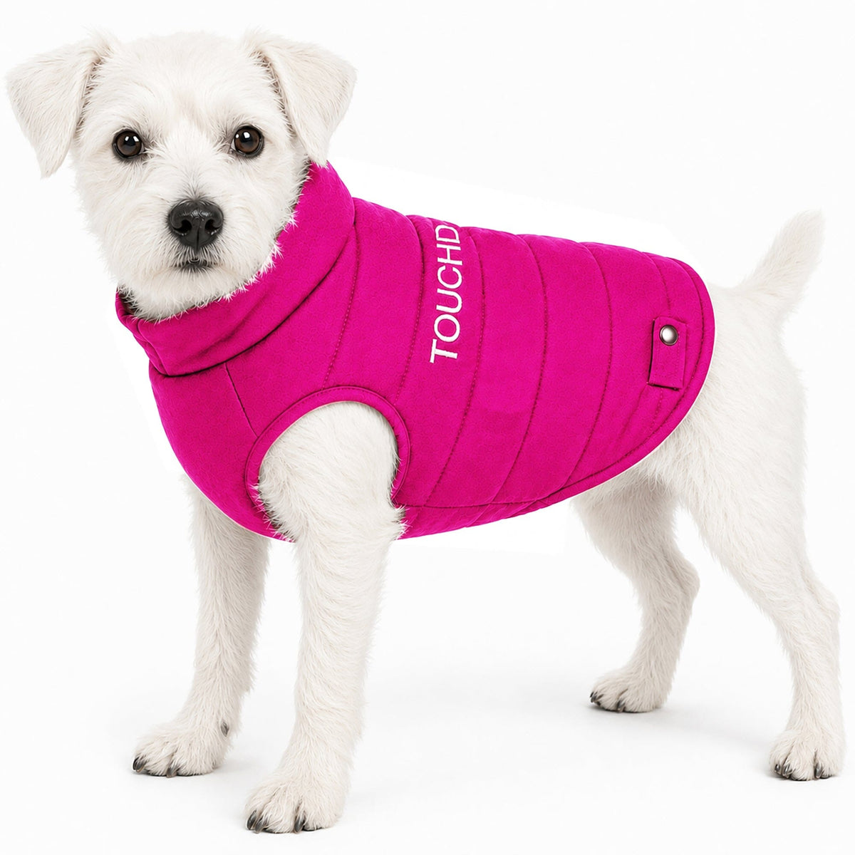Touchdog pink insulated dog coat with raised collar and snap tab, shown worn.