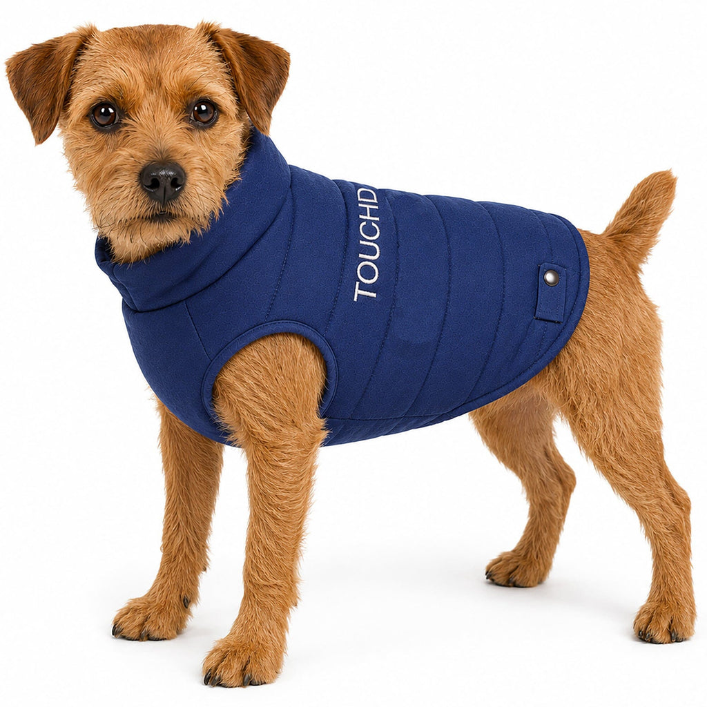 Navy insulated dog coat with high collar, horizontal quilting, and side snap closure.