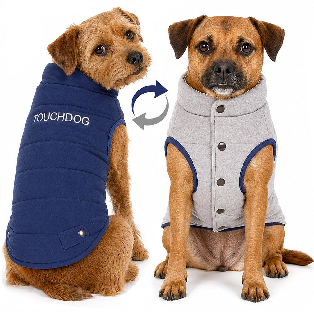 Touchdog reversible dog coat shown on dogs in navy and light gray, with snap closures.