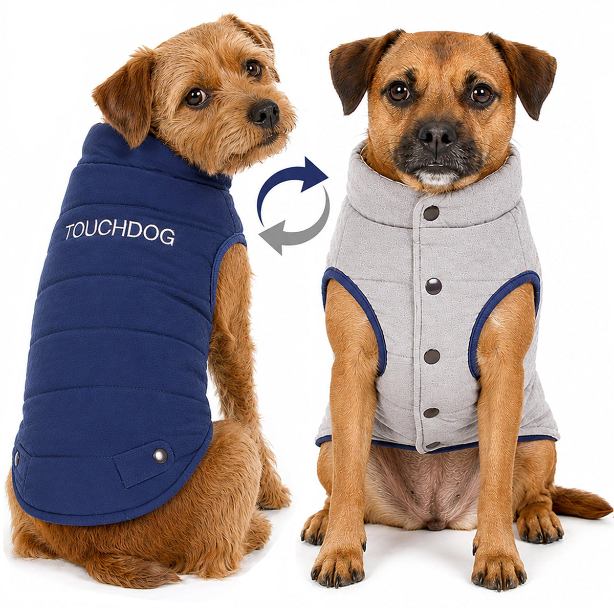 Touchdog reversible dog coat shown on dogs in navy and light gray, with snap closures.
