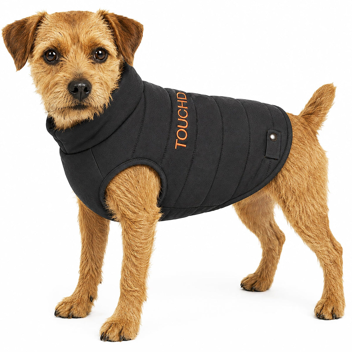 Touchdog insulated dog coat in black, shown worn with a raised collar and snap closure.
