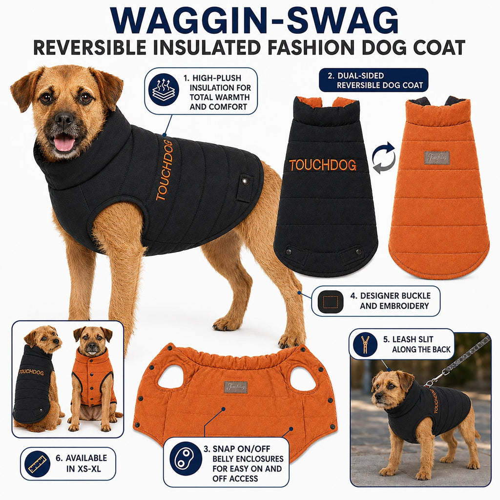 Touchdog Waggin Swag insulated coat shown on a dog, with reversible sides and snap-on belly panel.