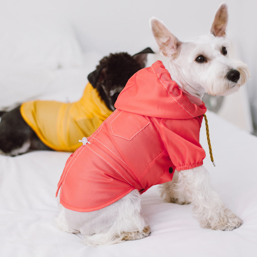 Coral dog raincoat modeled on a dog, with hood, back pocket, and drawstring
