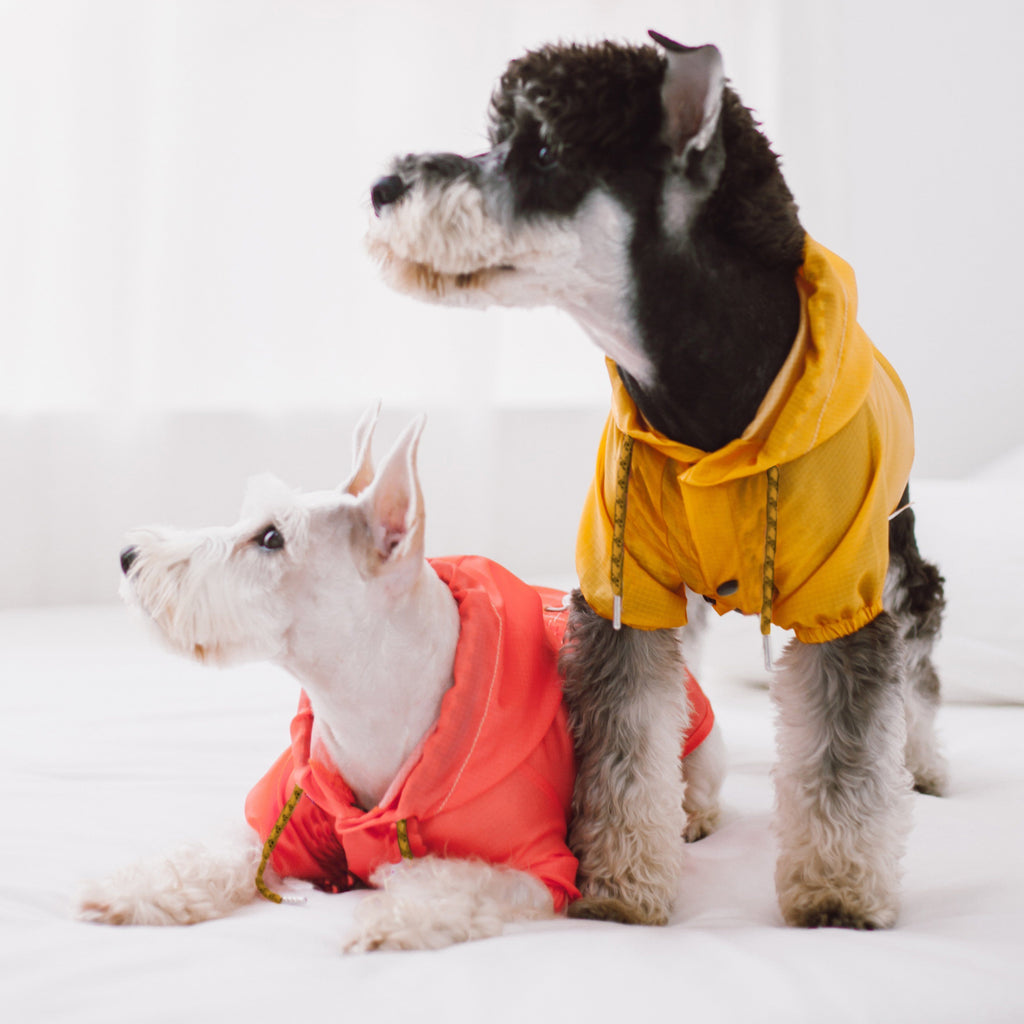 Dog raincoats modeled by two dogs, one coral and one yellow, with hoods and drawstrings