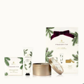 Frasier Fir holiday gift set with tin, lotion tube, triple-milled soap, and wrapped box