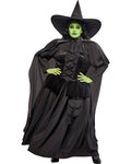 Plus-size witch costume dress with wide pointed black hat, cape, and ruffled bodice