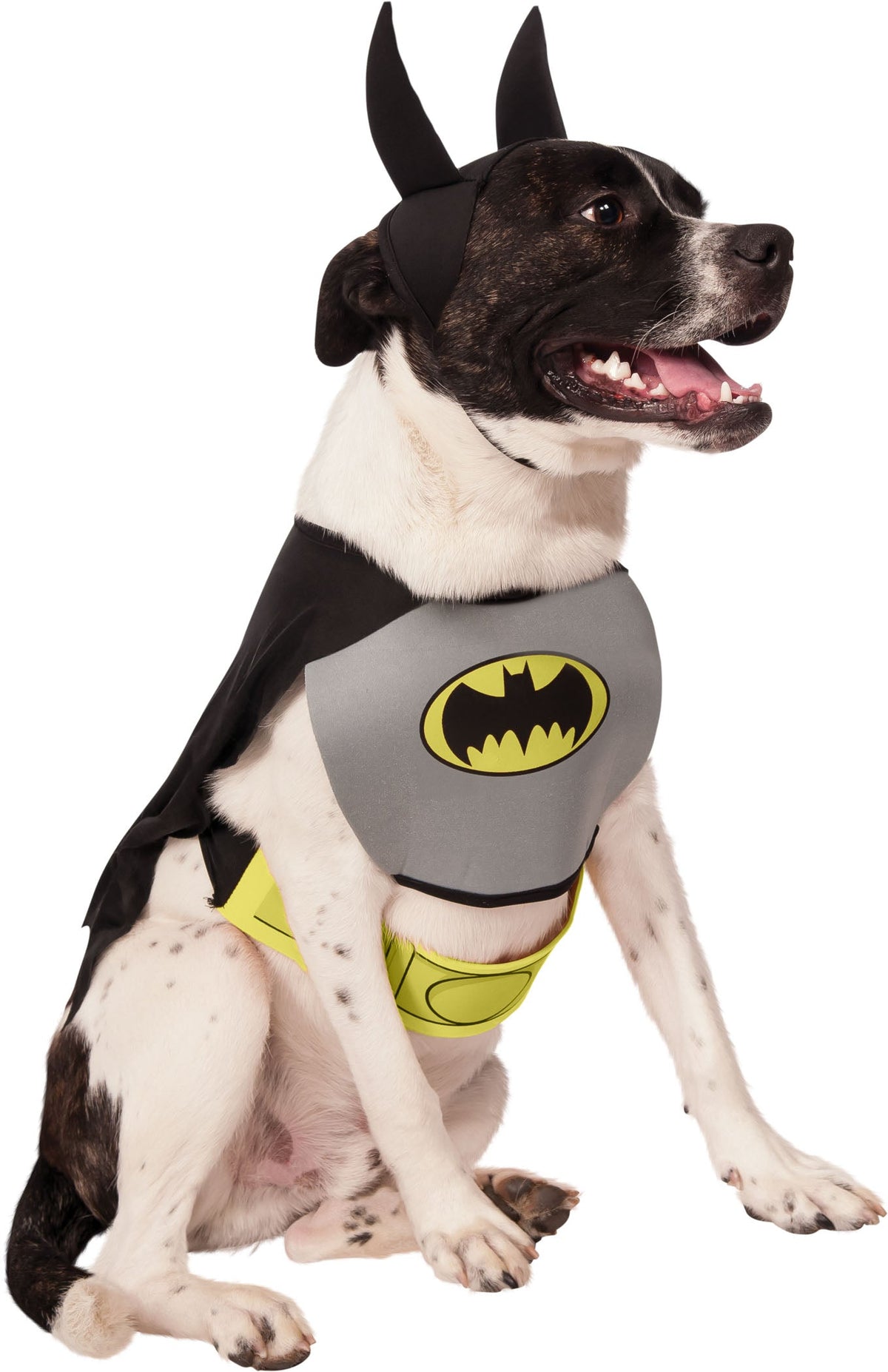 Bat-style pet costume: dark cape and gray logo shirt with yellow bat emblem.
