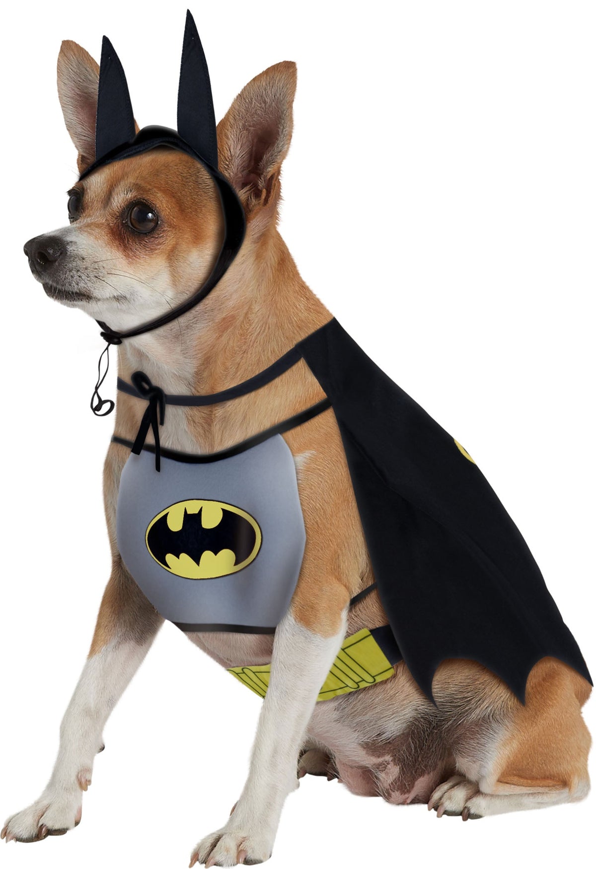 Pet costume front view: gray chest panel with yellow bat logo and black cape.